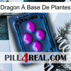 Dragon À Base De Plantes 04